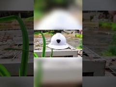 Anti capacete de segurança EN397 da cabeça do trabalho de choque 6 pontos da suspensão para Electric Power